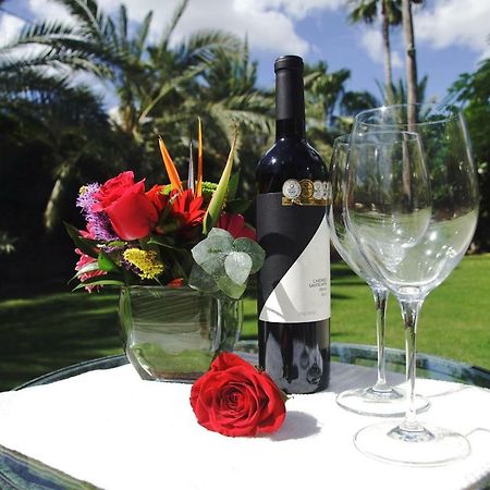 Los Milagros Hotel Cabo San Lucas Zewnętrze zdjęcie