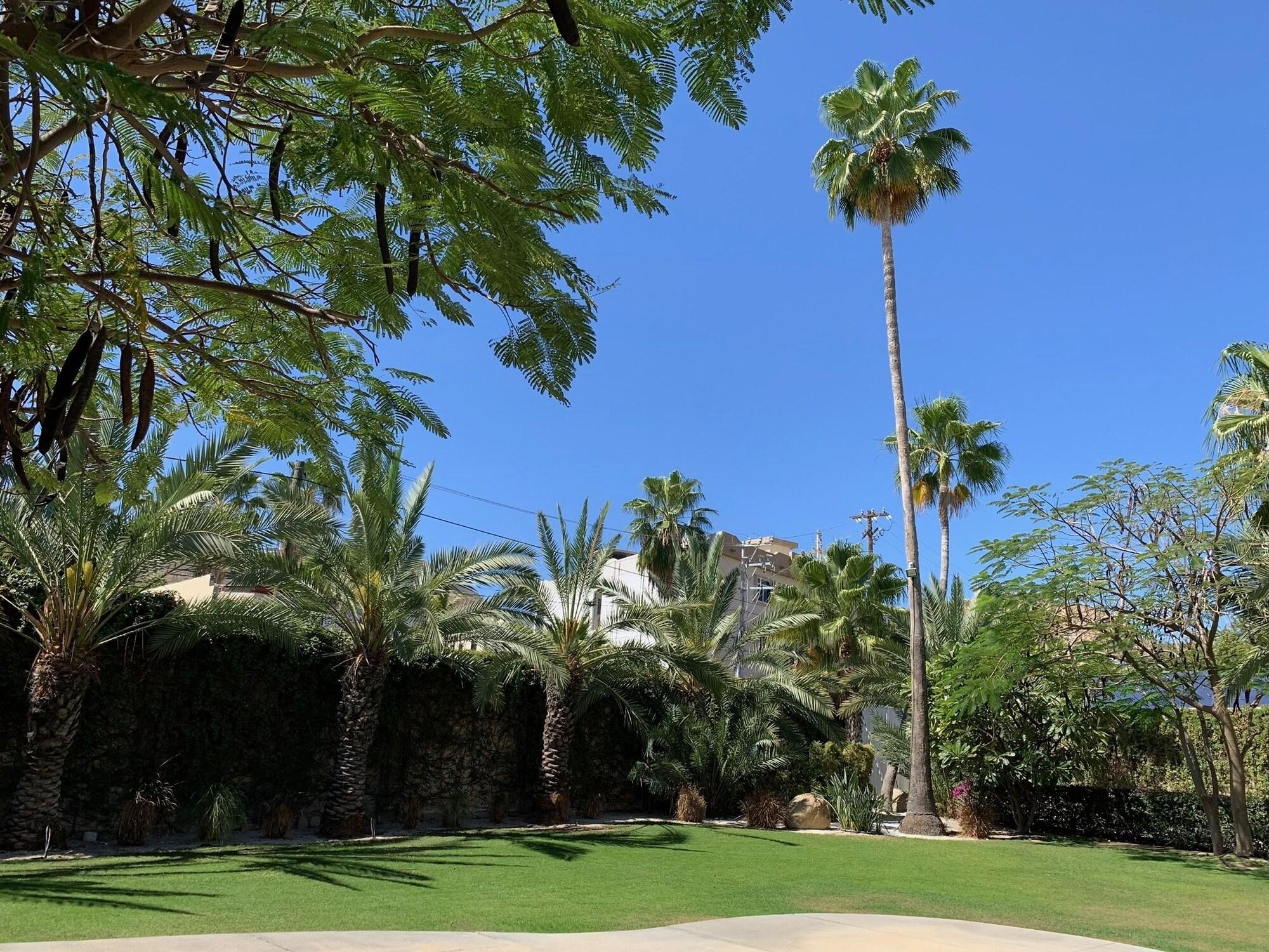 Los Milagros Hotel Cabo San Lucas Zewnętrze zdjęcie