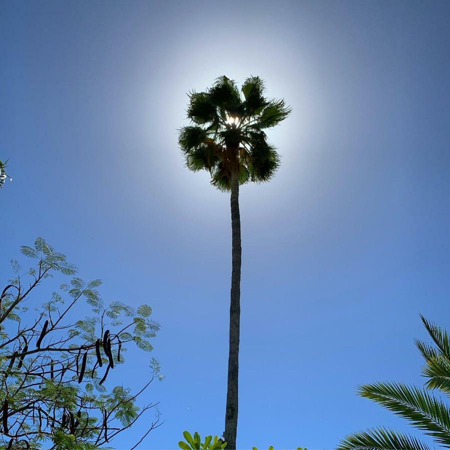 Los Milagros Hotel Cabo San Lucas Zewnętrze zdjęcie